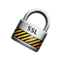 immagine pagamento busta paga contributi sicuro ssl